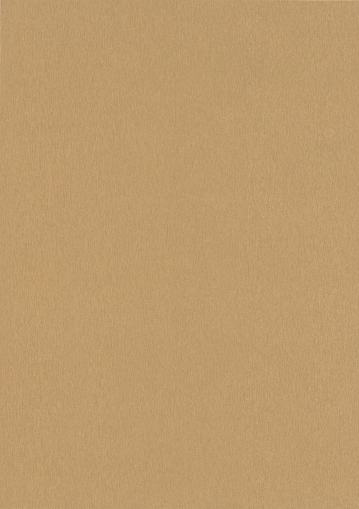 Golden Brushed Metal